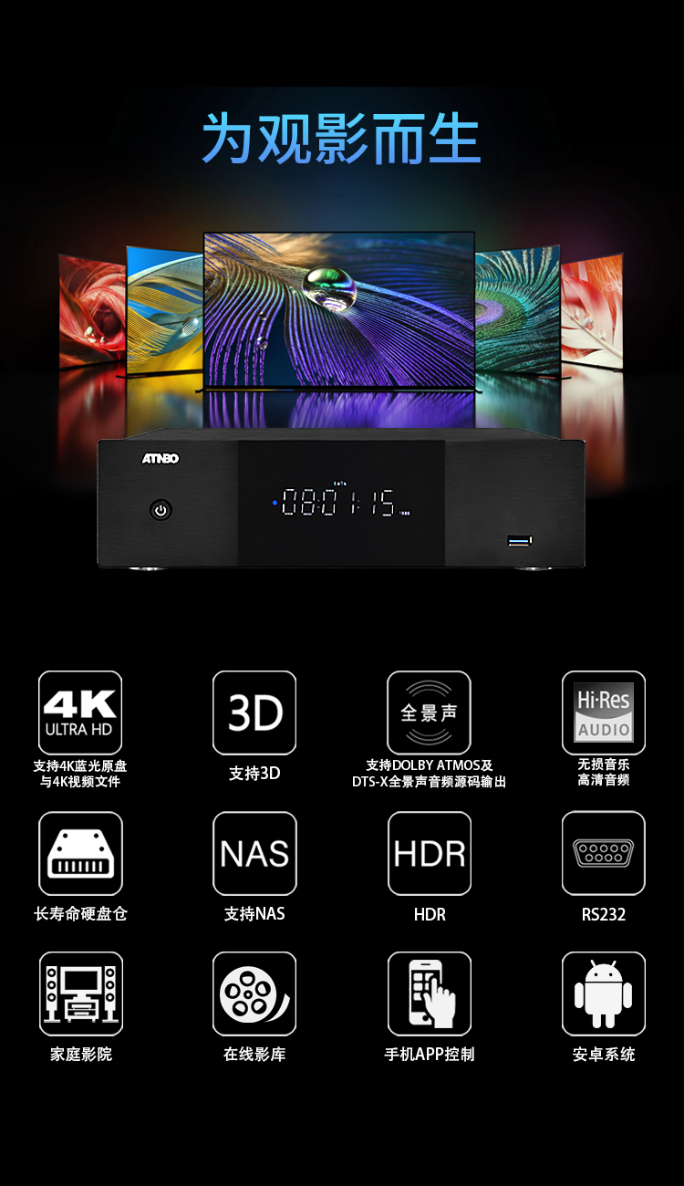 MP300PRO